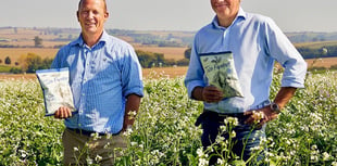 Wye Valley crisp-making farmer’s polytunnel bid crunched