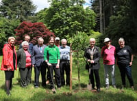 A tree for every decade of Her Majesty’s reign