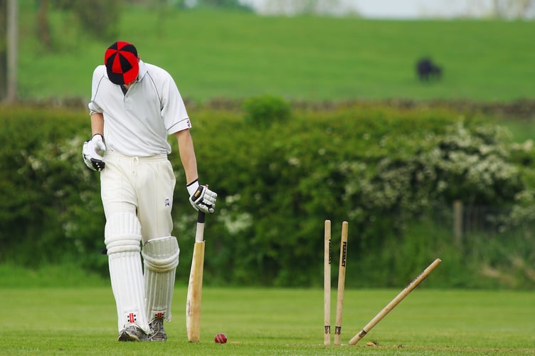 Stock photo- cricket