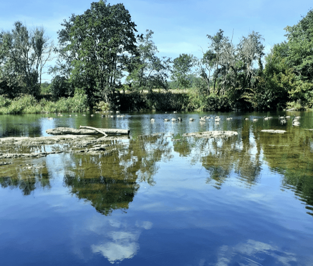 River Action calls for clarity on government plan to clean up Wye