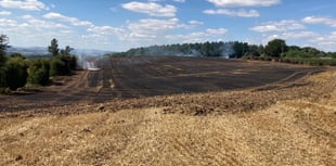 Crews tackle 15-acre field fire near Ruardean