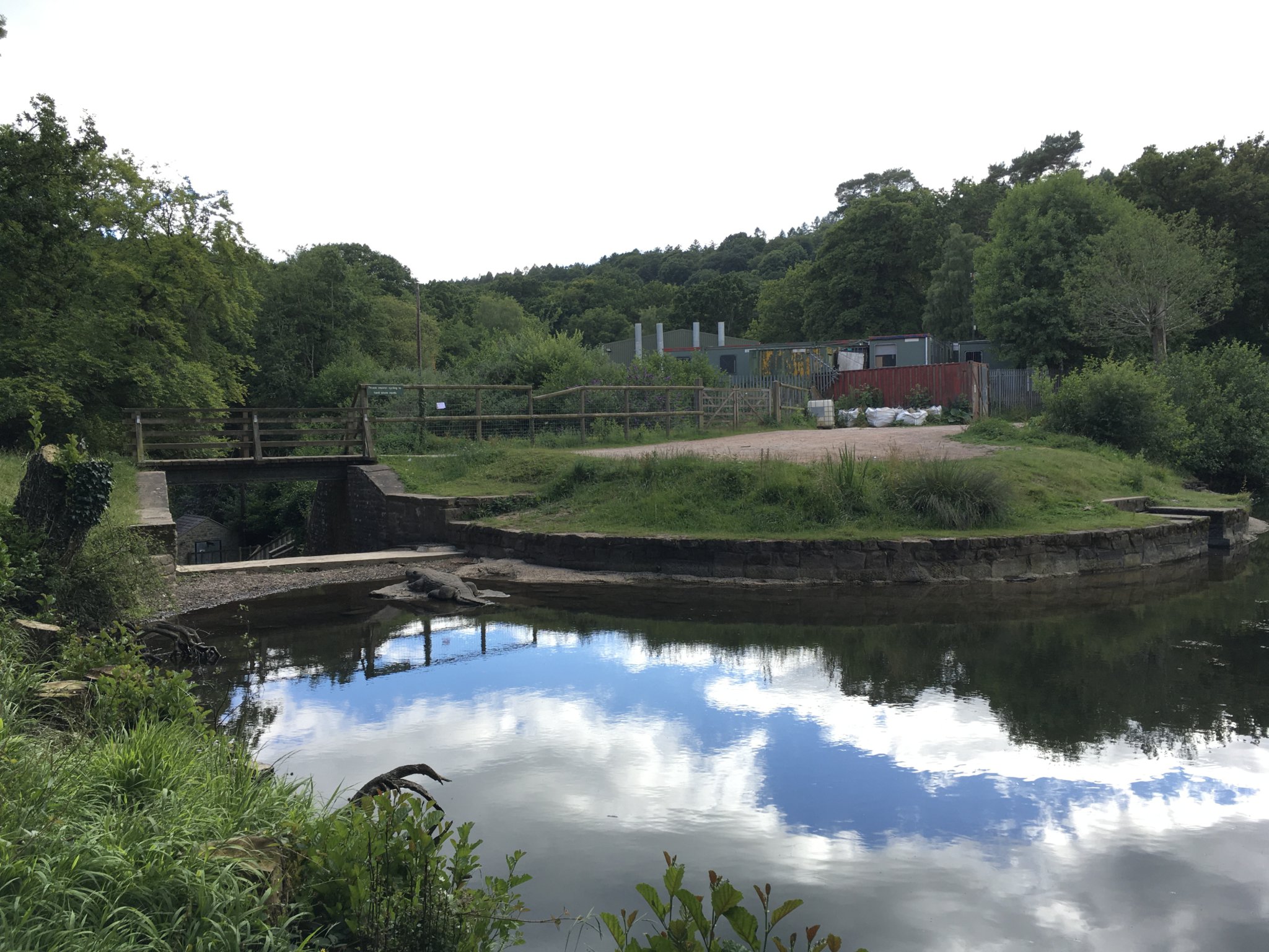 Steam Mills Lake - Royal Forest of Dean Angling Club