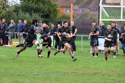 Cheltenham Tigers given a mauling by Newent RFC
