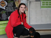 Wardens are ‘gold’ for dog care for ninth year