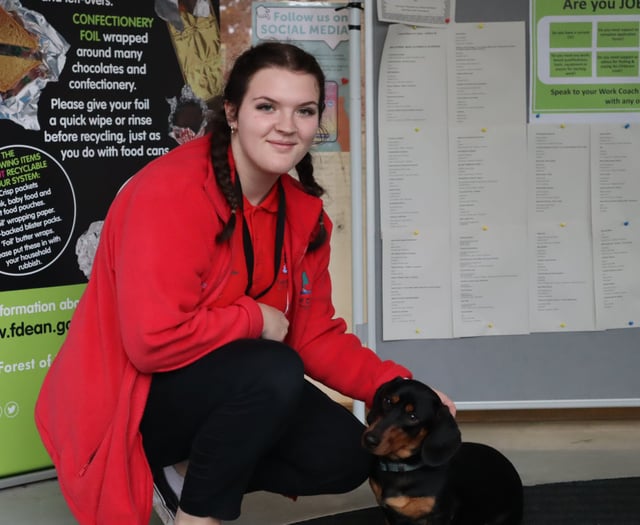 Wardens are ‘gold’ for dog care for ninth year