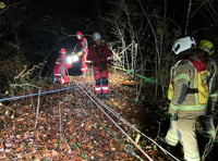 Woman rescued after fall on Tidenham path