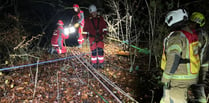 Woman rescued after fall on Tidenham path