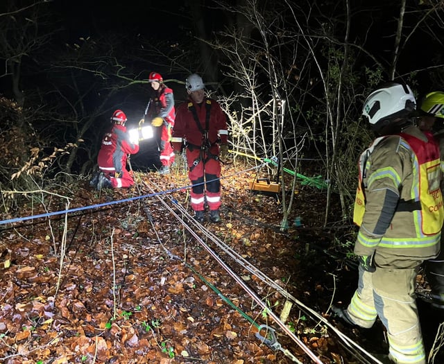 Woman rescued after fall on Tidenham path