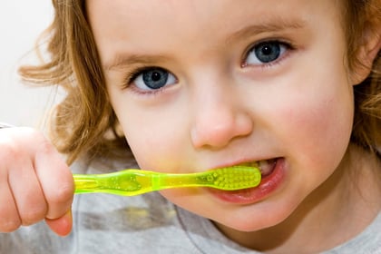 One in four children in the Forest are suffering tooth decay