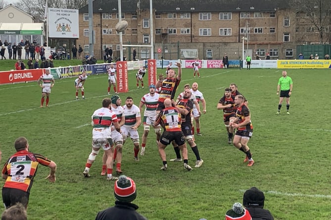 Cinderford RFC edged out by late score at Plymouth Albion |  