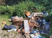 Man fined thousands of pounds for part in Bream fly tip