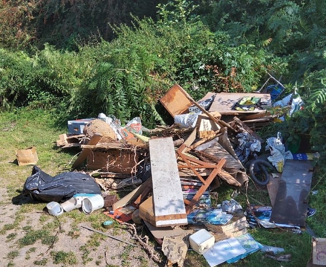 Man fined thousands of pounds for part in Bream fly tip