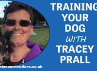 Training your dog with Tracey Prall