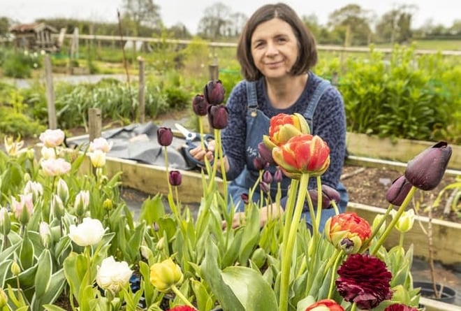 Jo Thompson of Wye Valley Flowers