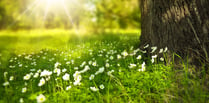 Advice issued for hot weekend in Gloucestershire