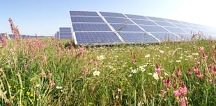 Laynes Wood Solar Farm – more than just panels