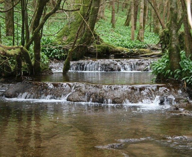 Council considers harnessing power of streams to generate electricity