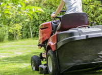 Forest of Dean Council calls for “no mow May” to help wildlife 