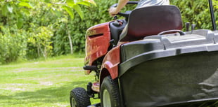 Forest of Dean Council calls for “no mow May” to help wildlife 