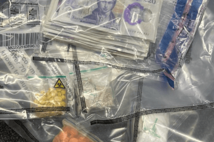 Man remanded in custody on festival drugs charge