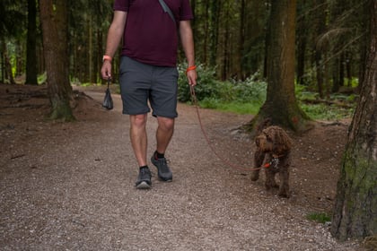New rules for dog walkers 