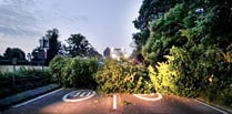 Fallen tree blocked major trunk road