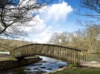 Forestry England provides Cannop Ponds update