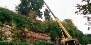 Unstable cliff top tree closes road