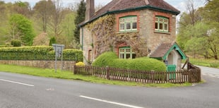 "Picture postcard" Victorian home for sale is full of colour inside 