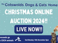 Last chance for Cotswolds Dogs and Cats Home Christmas auction