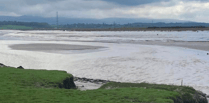 Local concerns raised over EDF’s proposed saltmarsh sites