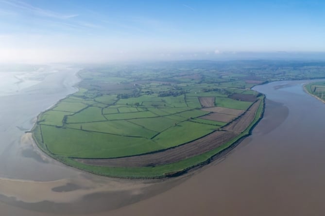 Plans for a saltmarsh nature reserve at Awre have been announced.