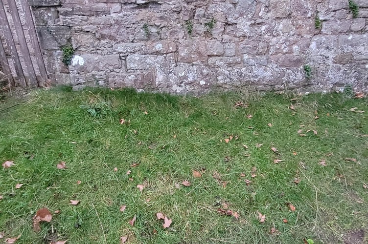 Chair, Forest of Dean Buildings Preservation Trust
