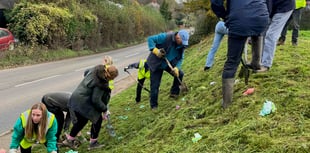 Dymock Daffodil Weekend starts Golden March festival