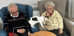 Feline friends bring joy to care home 