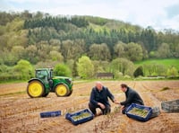 Blaze at M&S TV ad farm blamed on faulty equipment  