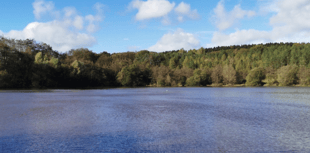 Anti-social behaviour measures at Steam Mills Lake 